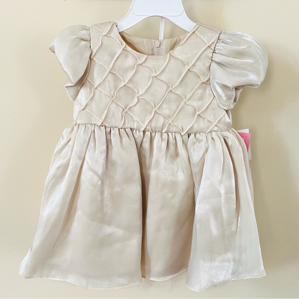 RARE EDITIONS Baby Dress Shimmer Organza Puff Sleeve 24 Months Pageant Easter - Picture 15 of 15